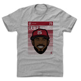 Mens Cotton T-Shirt Heather Gray